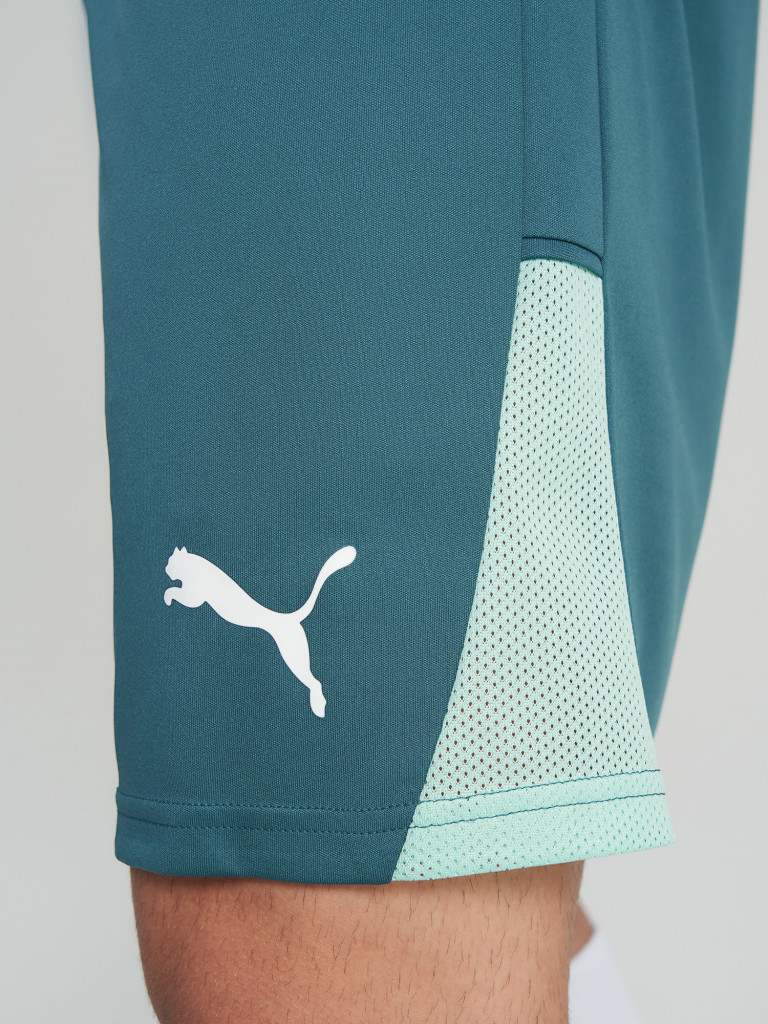 Шорты мужские PUMA Teamliga26