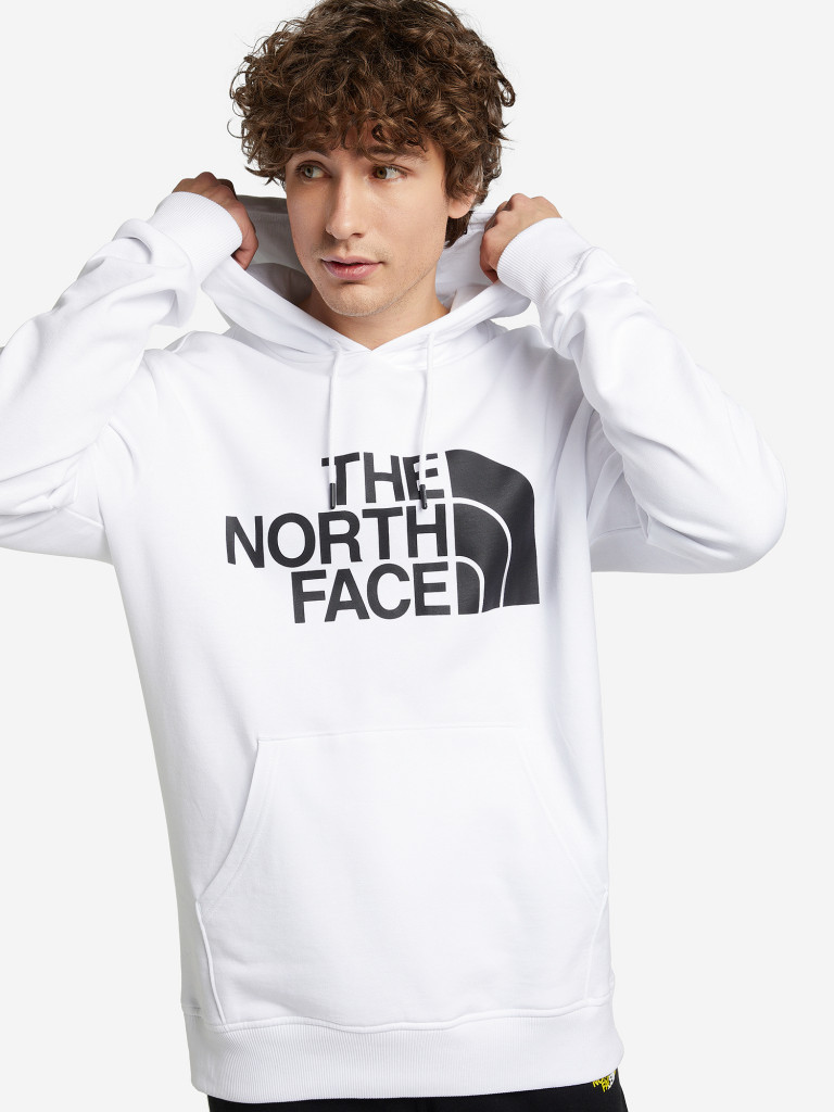The north face standard hoodie hotsell