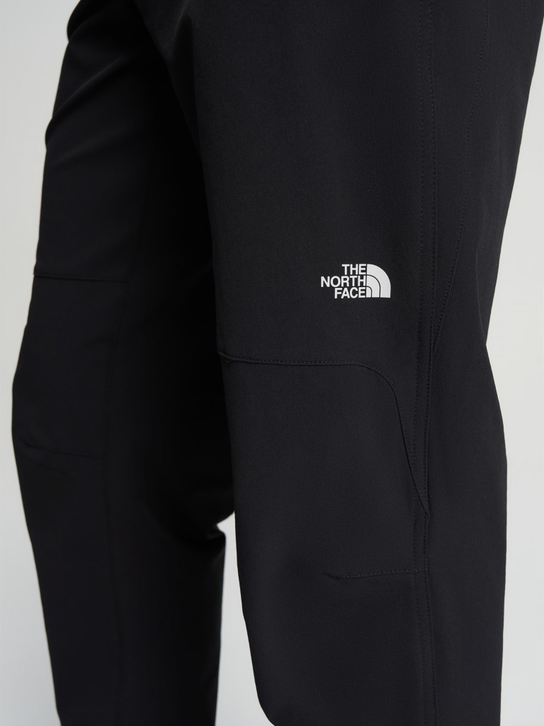 Брюки мужские The North Face Quest