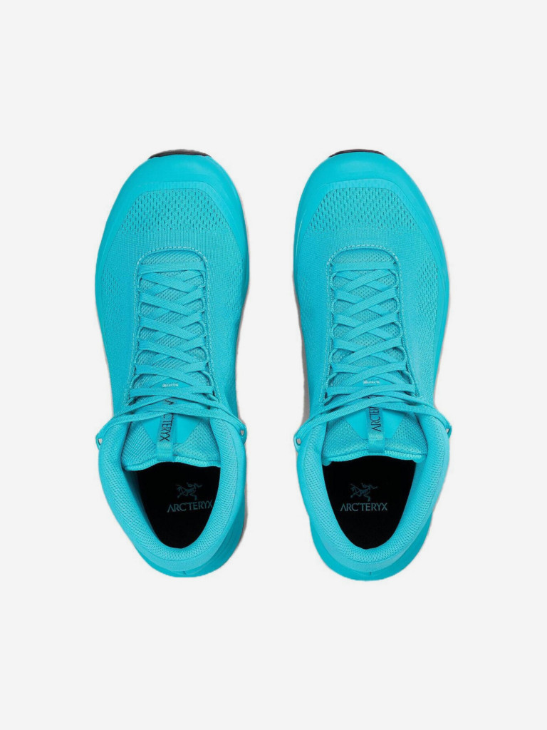 Кроссовки высокие мужские Arc'teryx Aerios FL 2 Mid GTX
