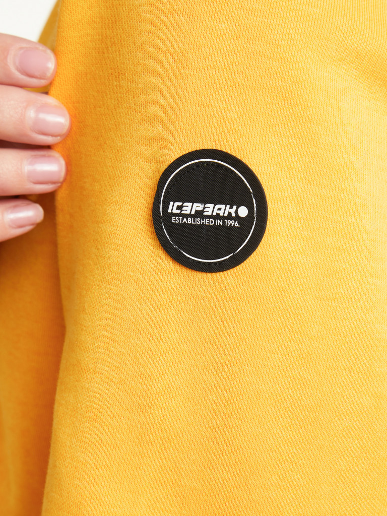 Худи женское IcePeak Aquilla