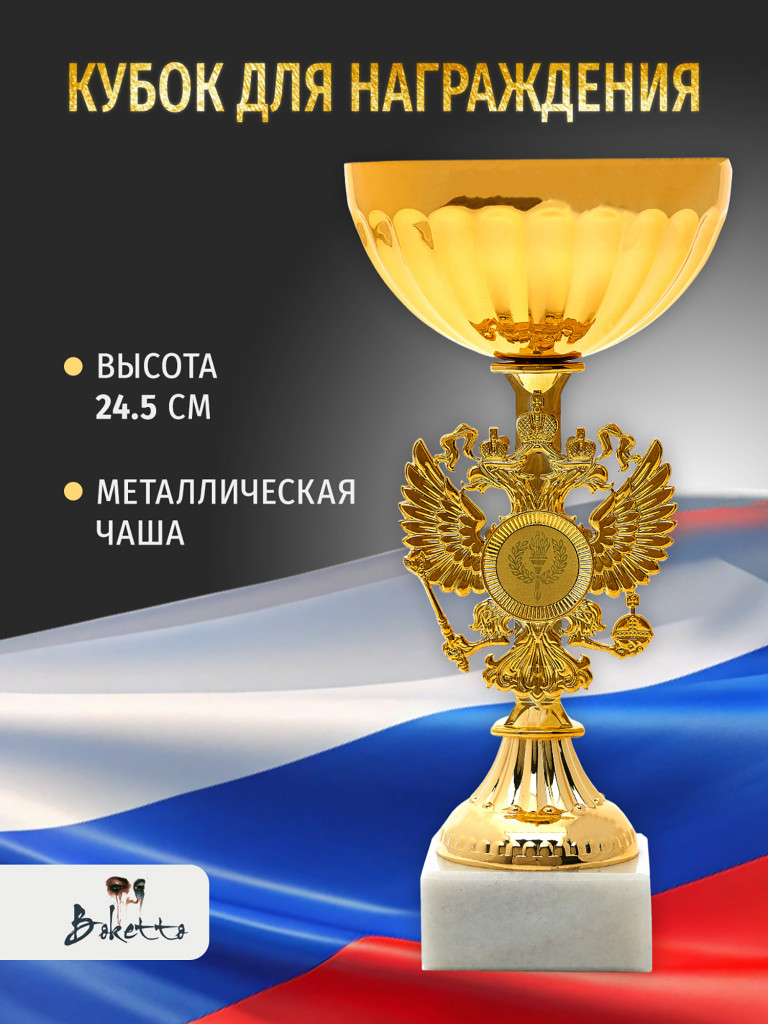 Кубок спортивный для награждения победителей 24.5 см