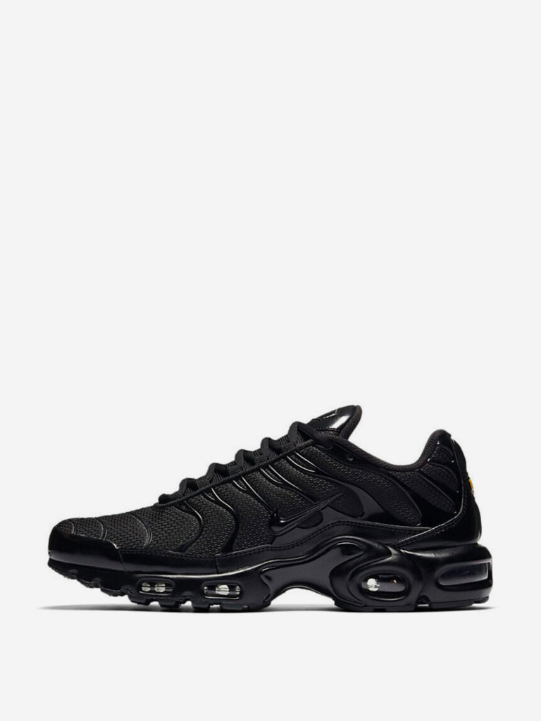 Кроссовки Nike Air Max Plus