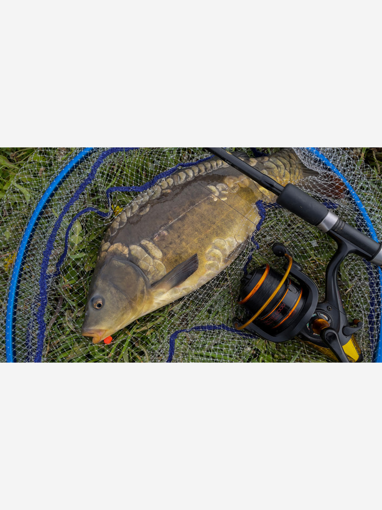 Катушка карповая с байтраннером Волжанка Карп Мастер 3000