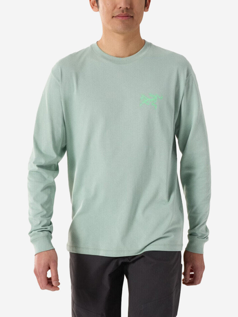 Лонгслив Arcteryx Kragg SL Cotton Bird Tile