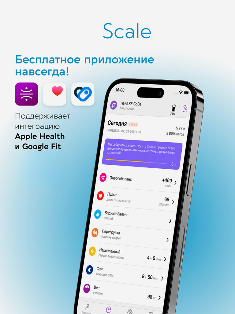 Комплект HEALBE Optimum Control 2