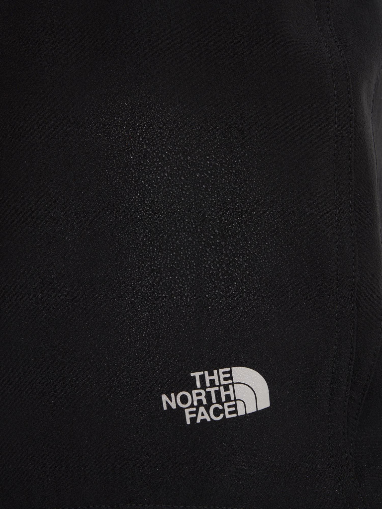 Брюки мужские The North Face Quest Softshell
