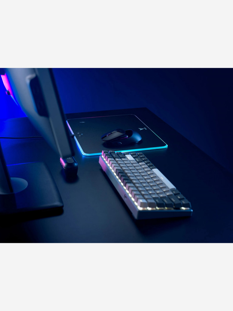 RAPOO Игровая мышь проводная/беспроводная VT960PRO, цвет - черный (12125)