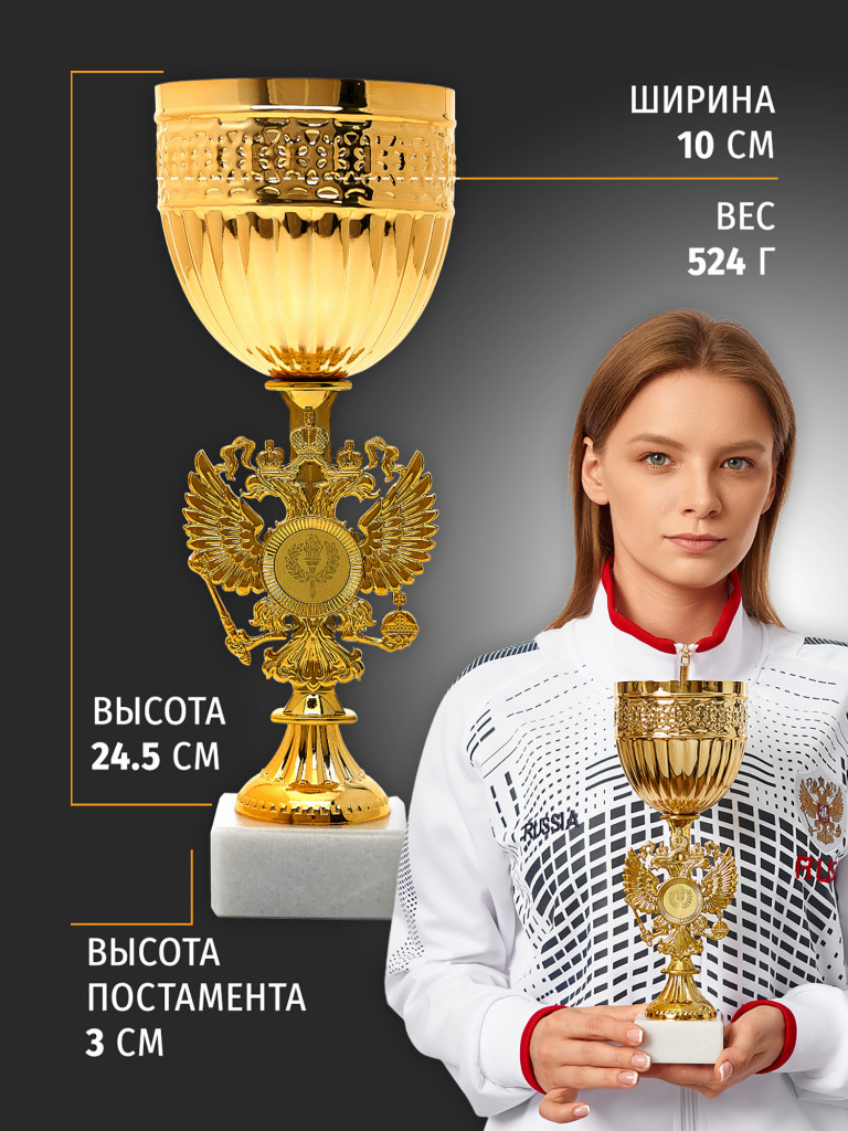Кубок спортивный для награждения победителей 27.5 см