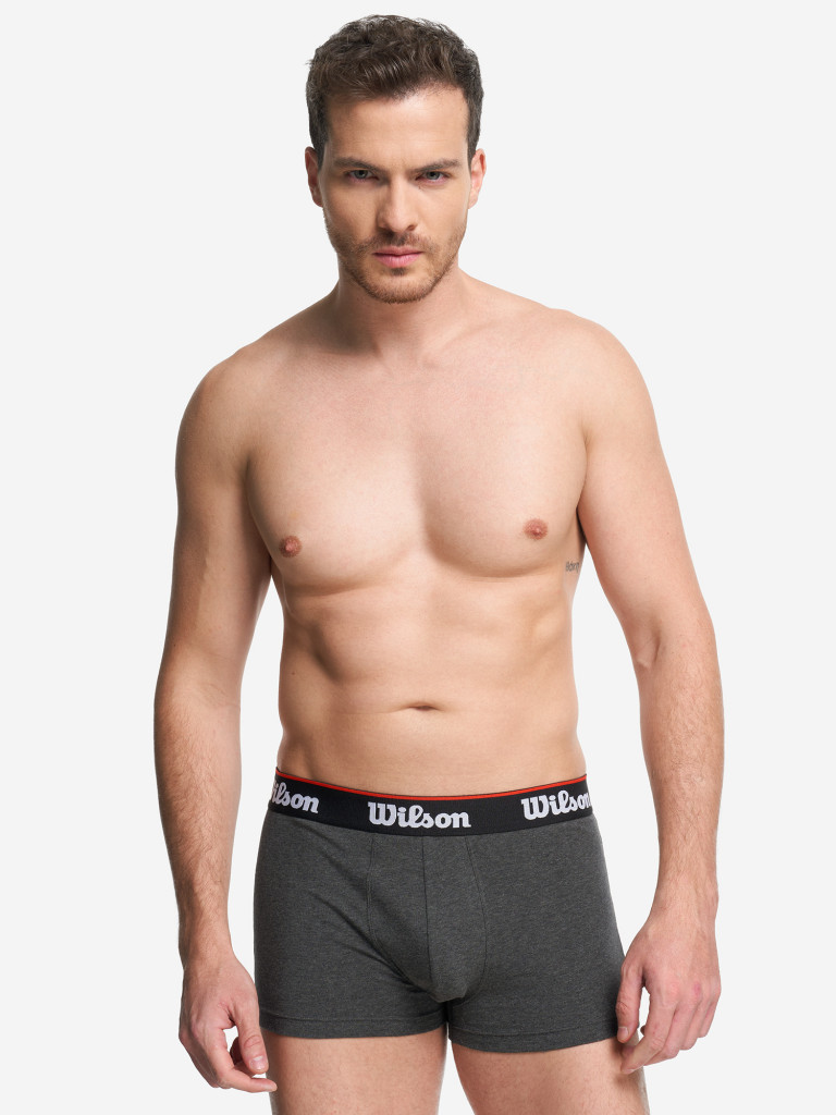 Трусы мужские Wilson, 2 штуки