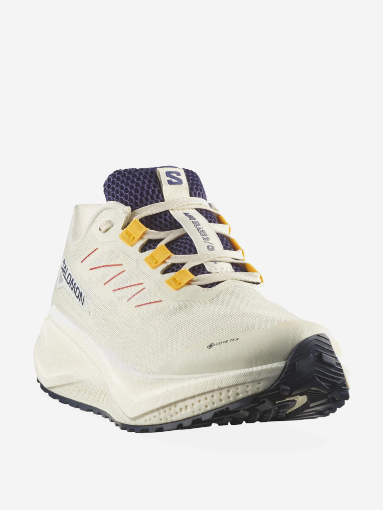 Кроссовки беговые Salomon Aero Blaze 3 GRVL GTX