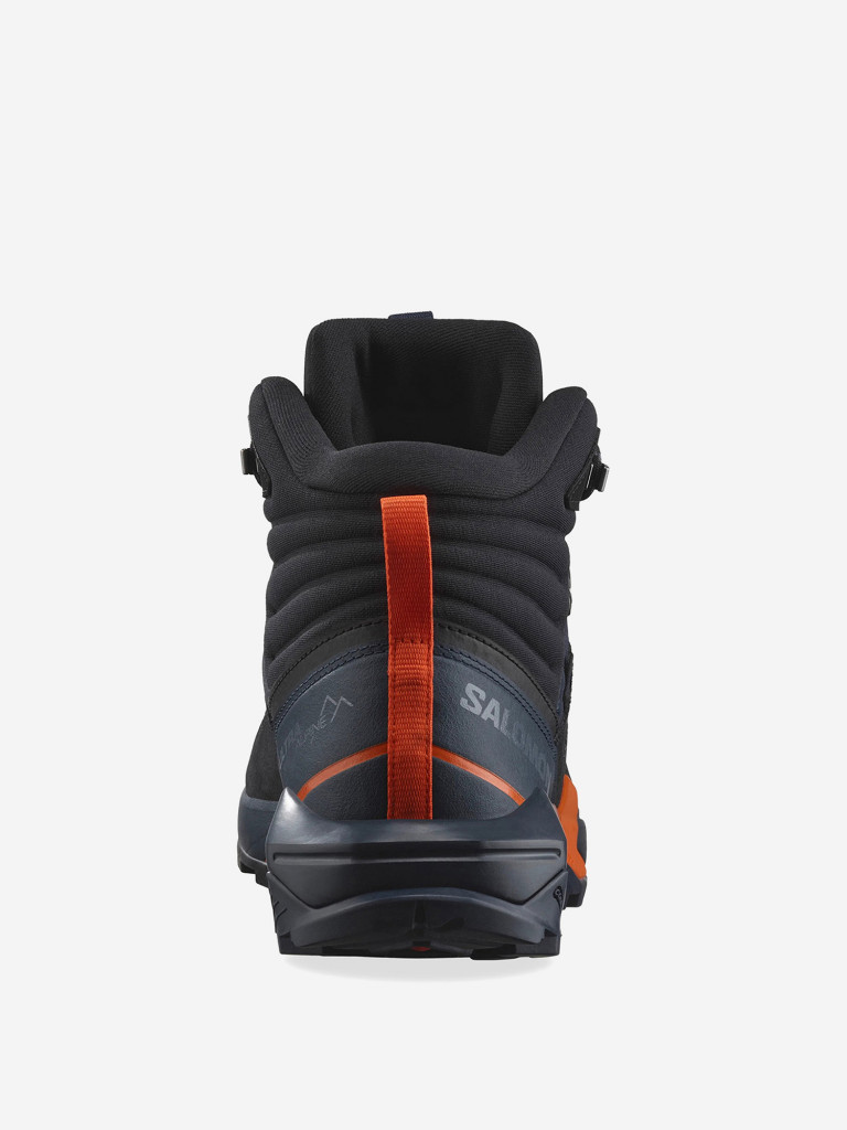 Ботинки Salomon X Ultra Alpine MID GTX