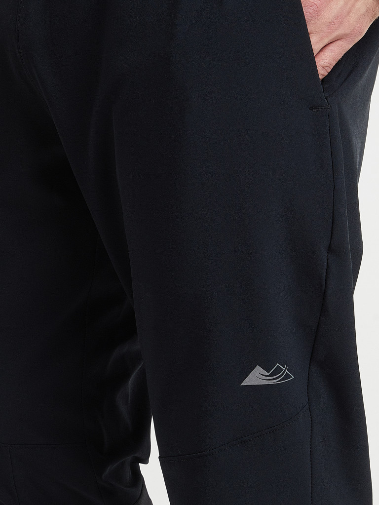Брюки мужские Columbia Rogue Runner Train Pant