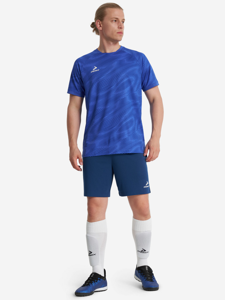 Шорты мужские Demix Legacy