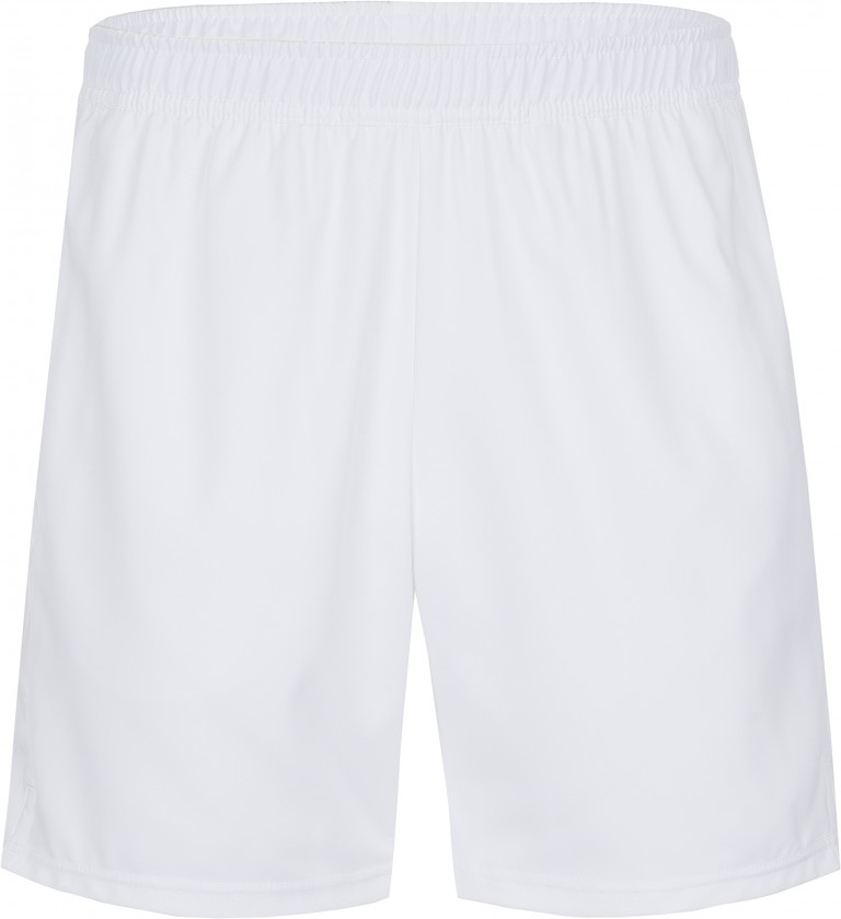 Шорты мужские Nike Dry