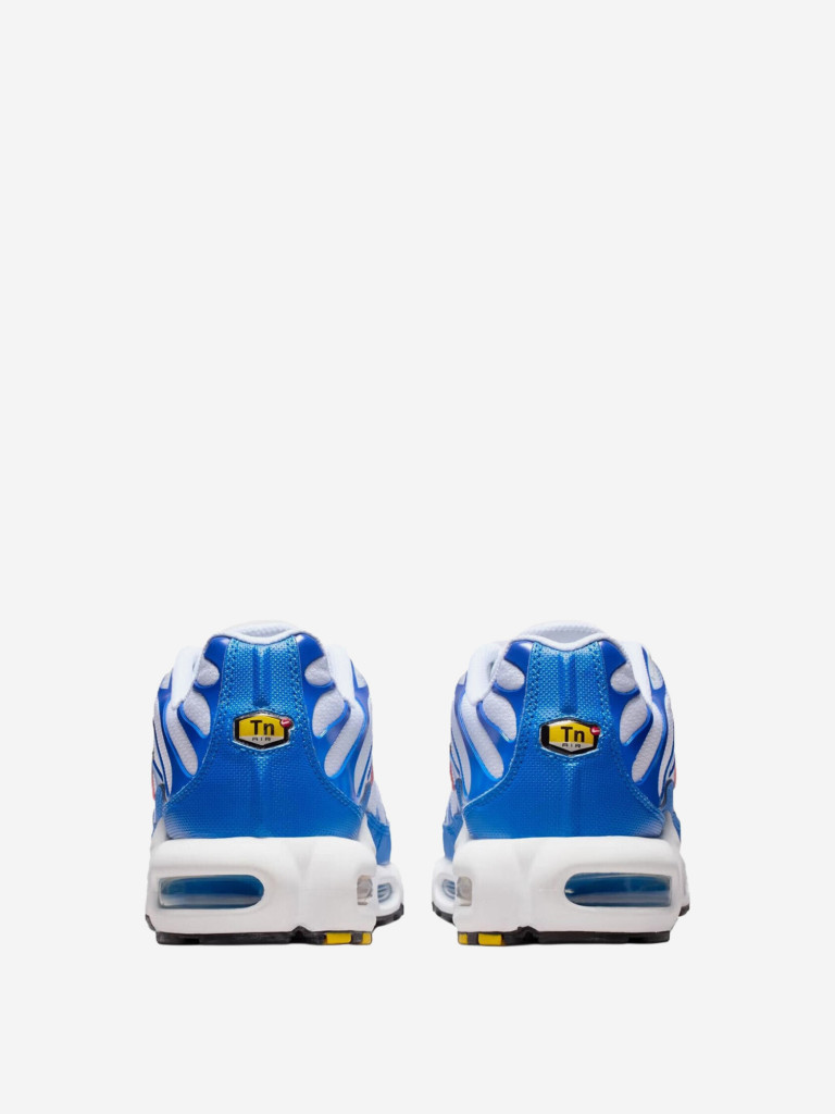 Кроссовки Nike Air Max Plus