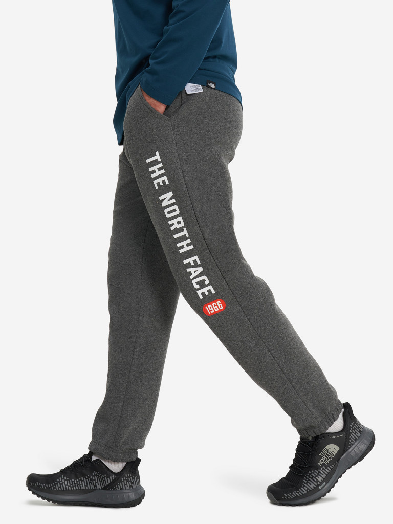 Брюки мужские The North Face Varsity Graphic