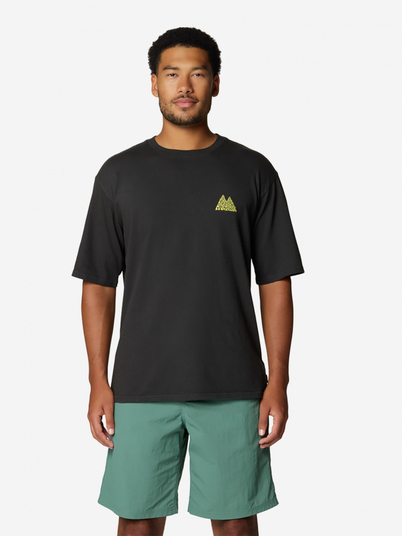 Футболка мужская Mountain Hardwear Mountains Collab Short Sleeve Серый 4999₽