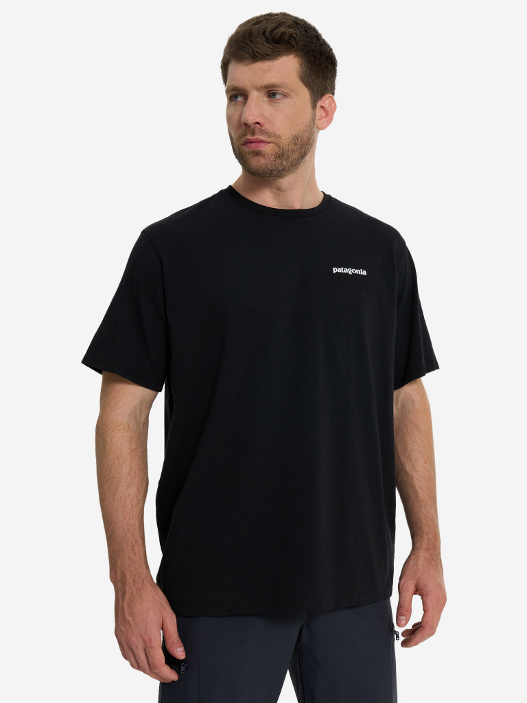 Футболка мужская Patagonia Logo