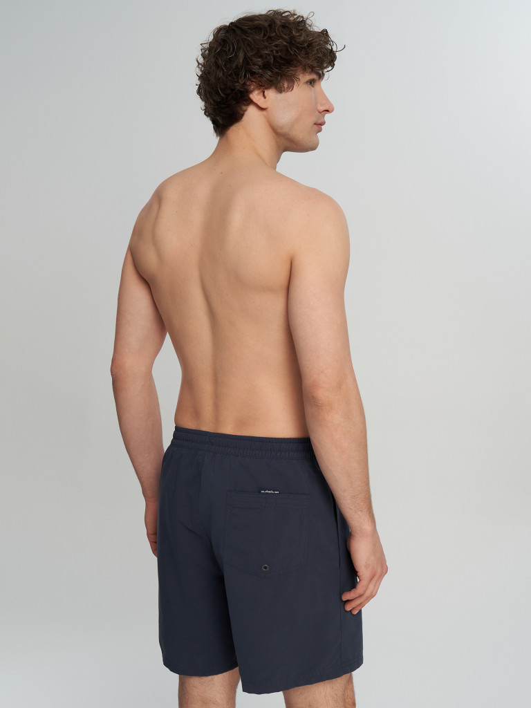 Шорты плавательные мужские Quiksilver Everyday Clicker Volley 17