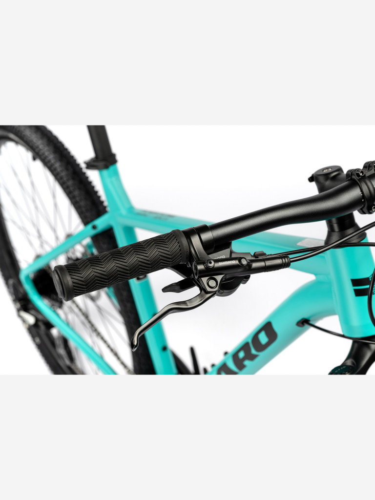 Велосипед горный Flightline Two 29r DLX 2025