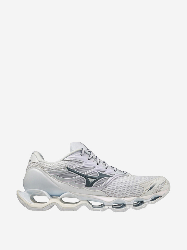 Кроссовки беговые мужские Mizuno Wave Prophecy 11