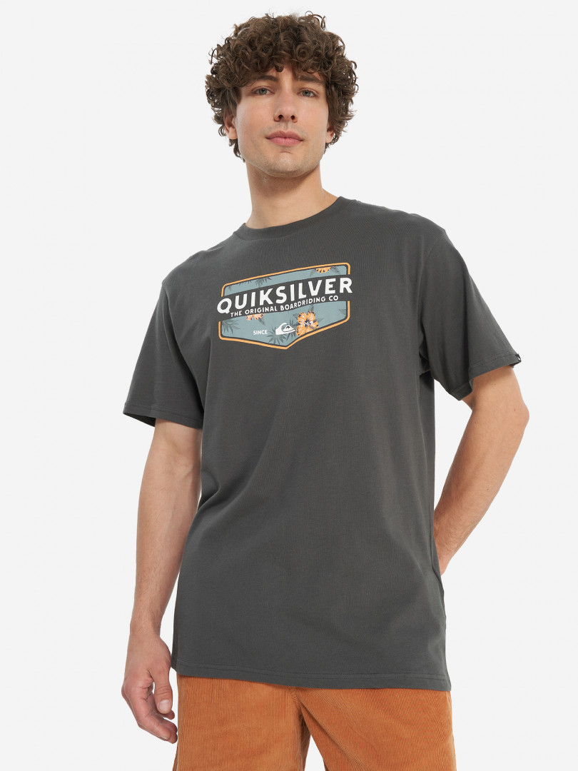 Футболка мужская Quiksilver Ultimate Classic Серый 1539₽
