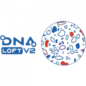 DNA Loft V2