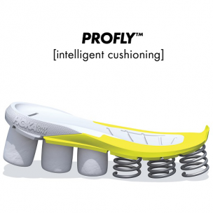 ProFly