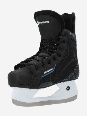 Ледовые коньки