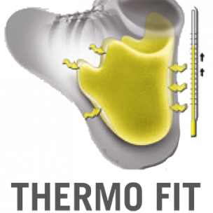 Thermo Fit
