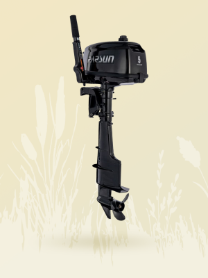 Лодочные моторы