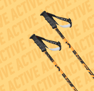 Горнолыжные палки