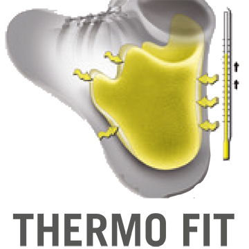 Thermo Fit